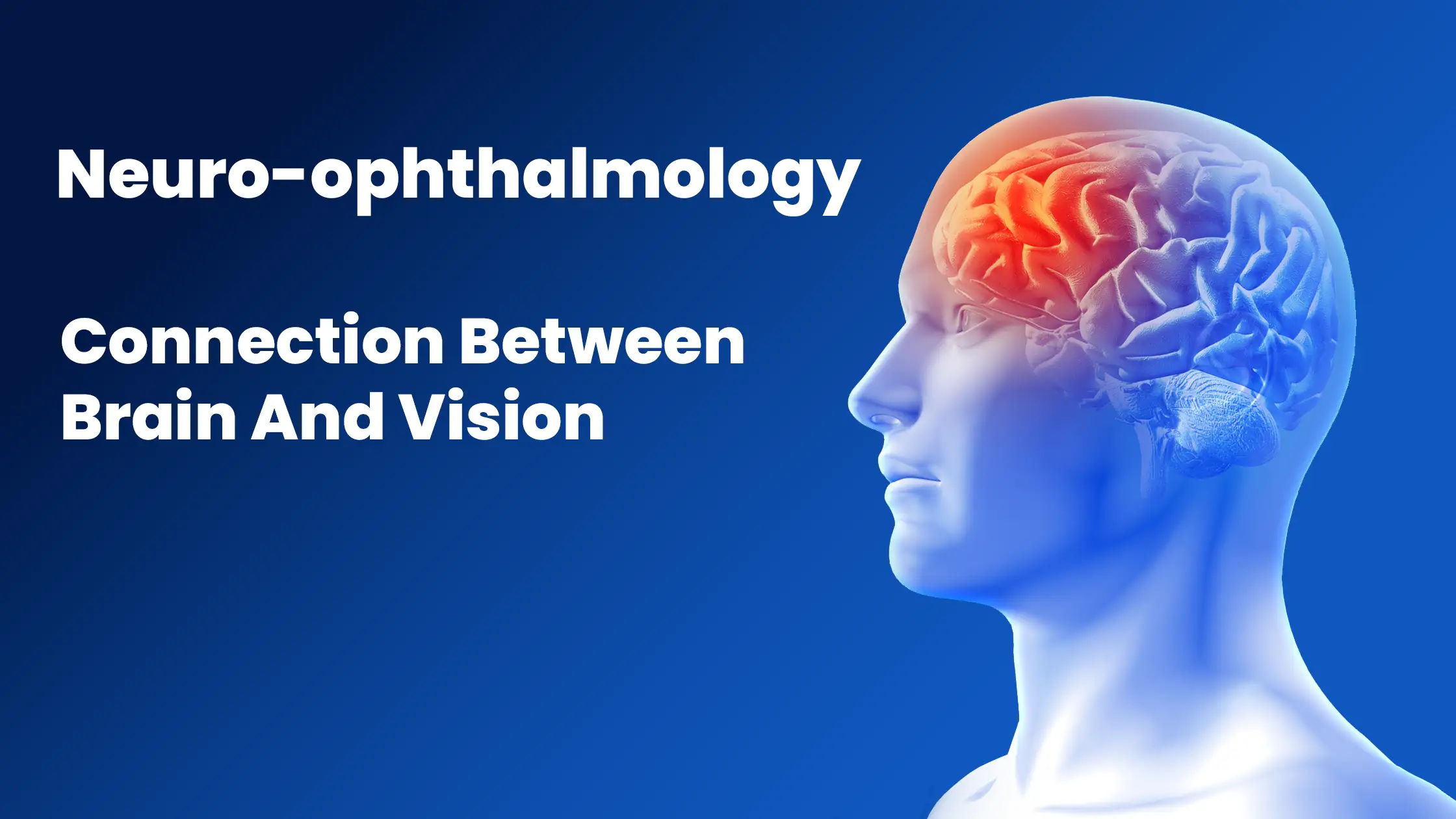 neuro-ophthalmology-connection-between-brain-and-vision