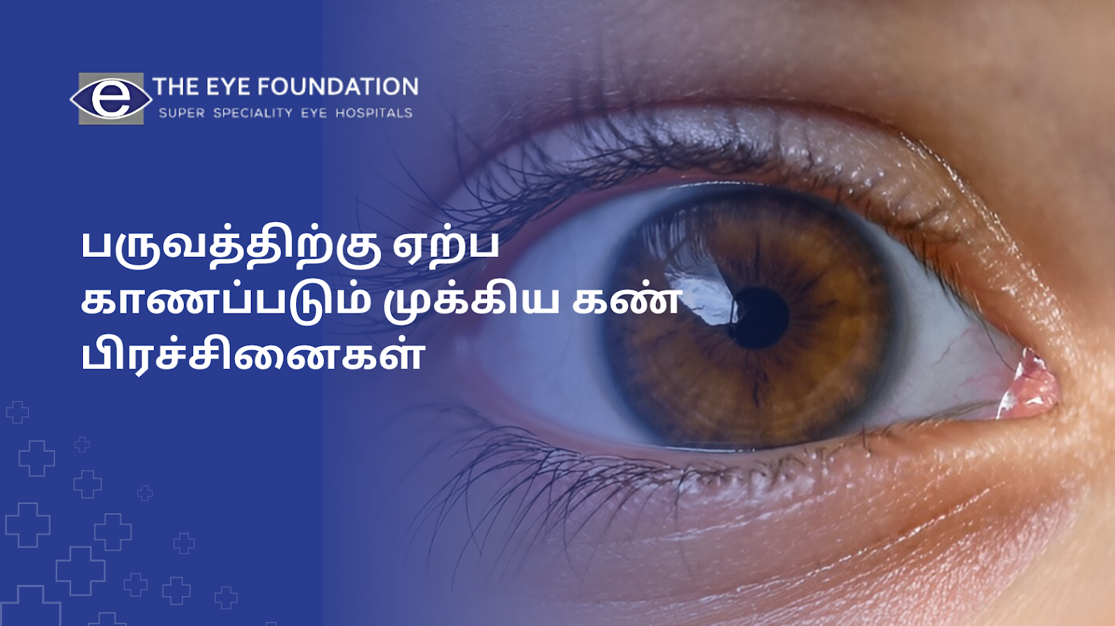 common-seasonal-eye-problems