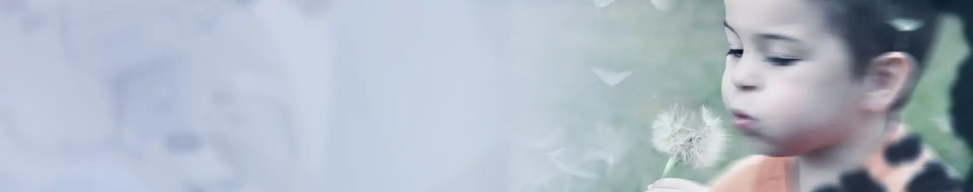 Vitreo-Retina-treatment